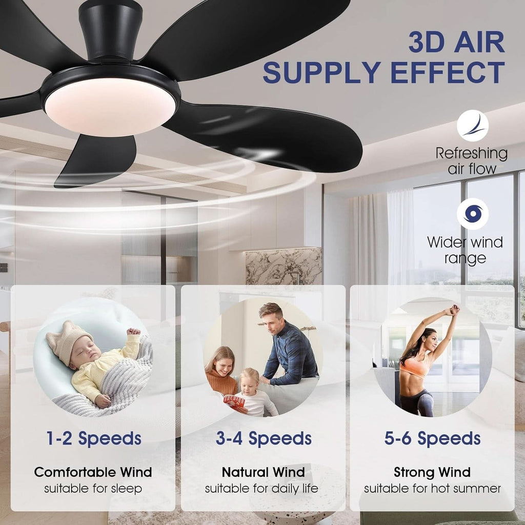 48 Inch Black Ceiling Fan With DC Motor Remote LED