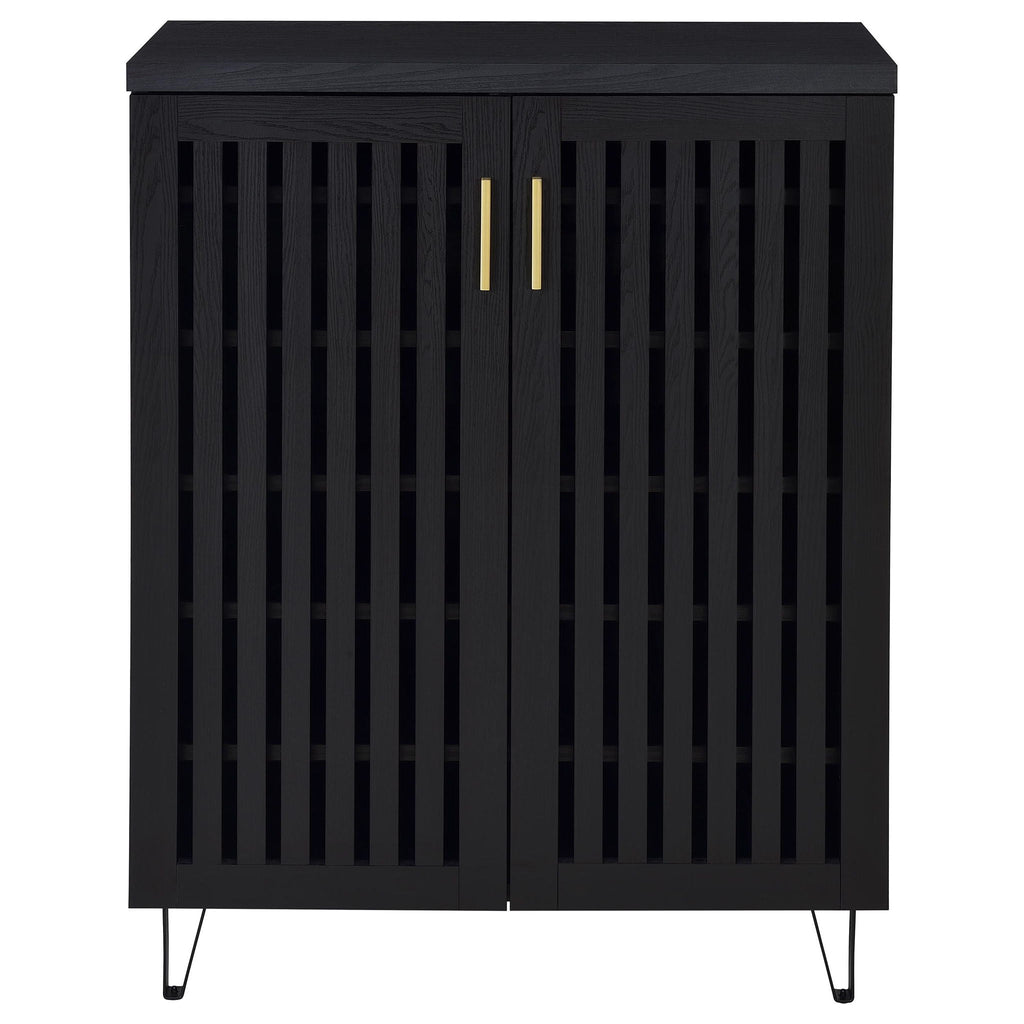 Brixton 2-door Entryway Shoe Storage Cabinets Black