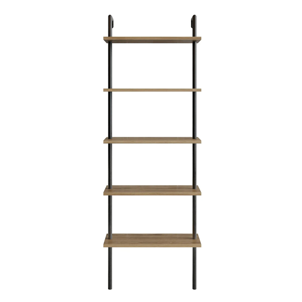 Paula 68 inches Tall Metal Manufactured Wood Accent Ladder Bookcase