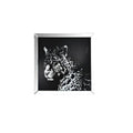 Talisha - Wall Art - Mirrored & Faux Crystal Leopard